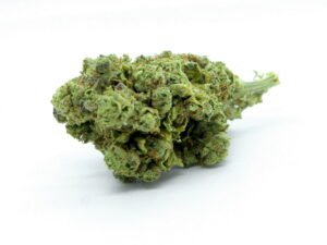 Amnesia Haze CBD indoor