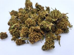 Lemon Berry Medium Bud