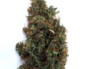 Purple Haze CBD Indoor