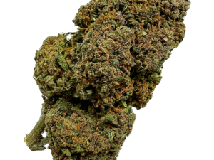 Blue Meringue CBD Indoor, 2e prix Platinum CBD Cup 2025