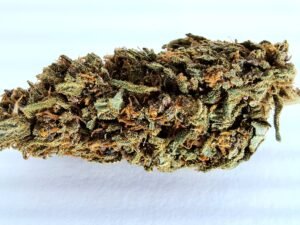 biscotti fleur cbd glasshouse