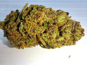 Purple Kush Glasshouse