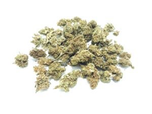 Super Skunk Glasshouse medium bud